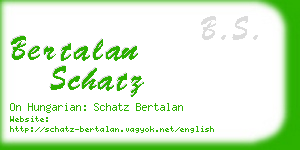 bertalan schatz business card